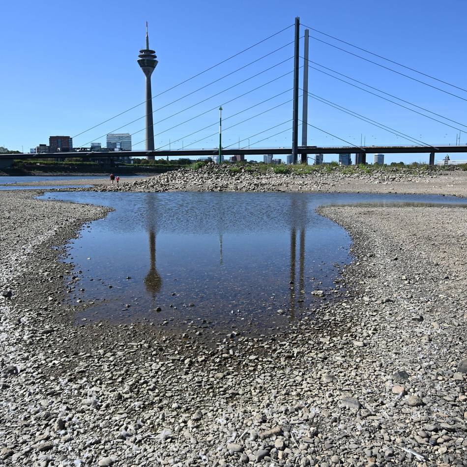 Niedrigwasser mit historischen Tiefständen: Rhein in Düsseldorf – kann der Pegelstand unter null fallen?