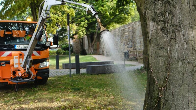 Trockenheit in Ratingen: Grünflächenamt kämpft um jeden Baum