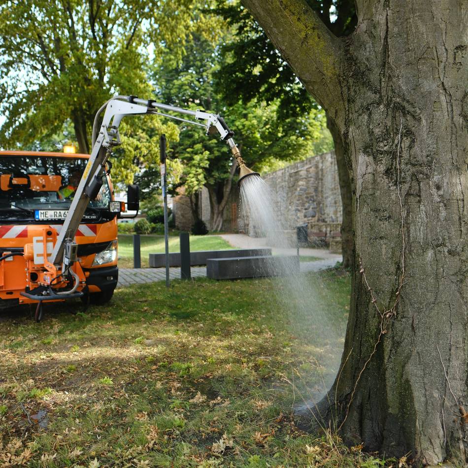 Trockenheit in Ratingen: Grünflächenamt kämpft um jeden Baum