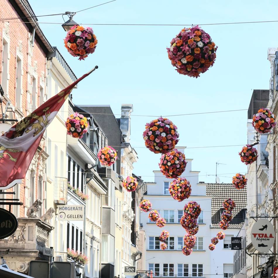 Auswertung der Einkünfte: In diesen Stadtteilen wohnen die reichsten Neusser