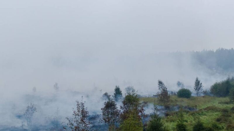 Mehrere Meldungen in Oberberg: Geruchsbelästigung durch den Brand im Hohen Venn