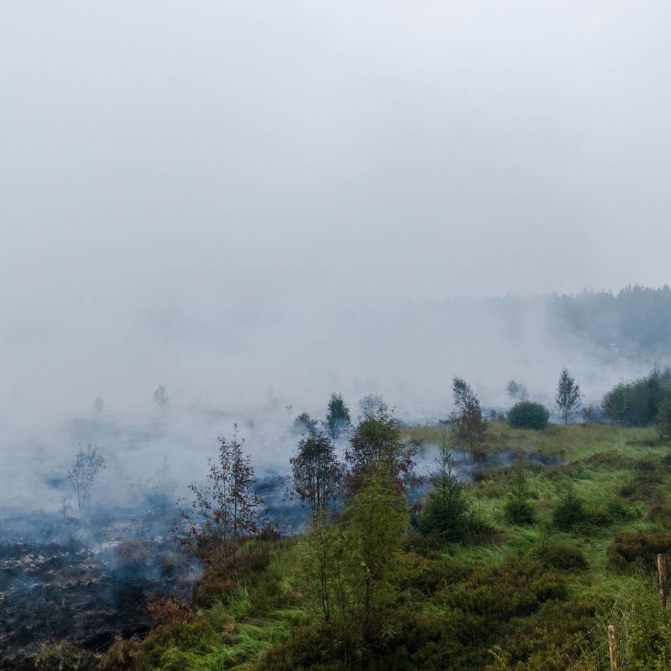 Mehrere Meldungen in Oberberg: Geruchsbelästigung durch den Brand im Hohen Venn
