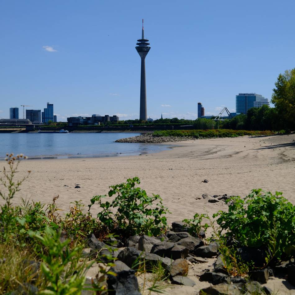 Niedrigwasser: Rhein in Düsseldorf fällt wieder auf historischen Tiefstand
