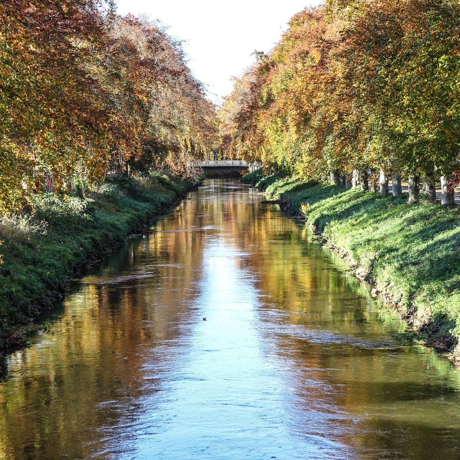 Naturschutz in Grevenbroich: Wann Angeln am Neurather See und an der Erft erlaubt ist
