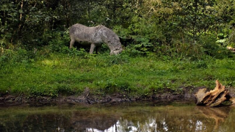 Heimatverein Ratingen: Heimatverein zeigt Kunst, Natur und ein dunkles Kapitel der Geschichte