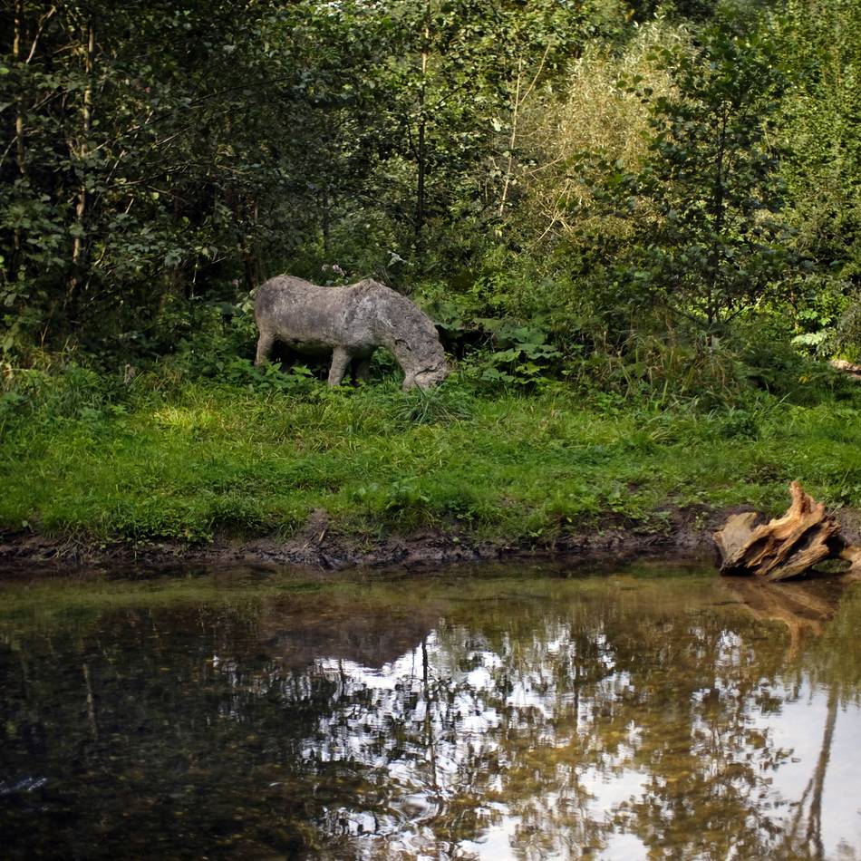 Heimatverein Ratingen: Heimatverein zeigt Kunst, Natur und ein dunkles Kapitel der Geschichte