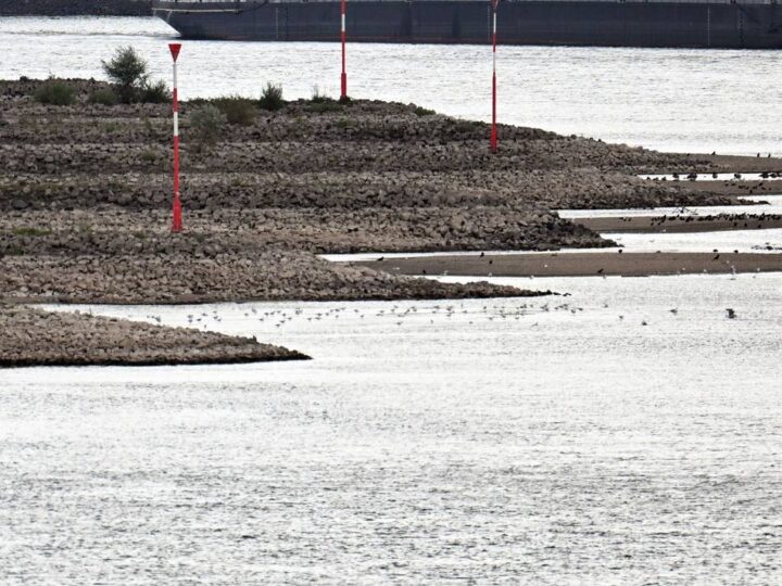 Stahlerzeugung in Duisburg: Thyssenkrupp hält Produktion trotz Niedrigwasser am Laufen