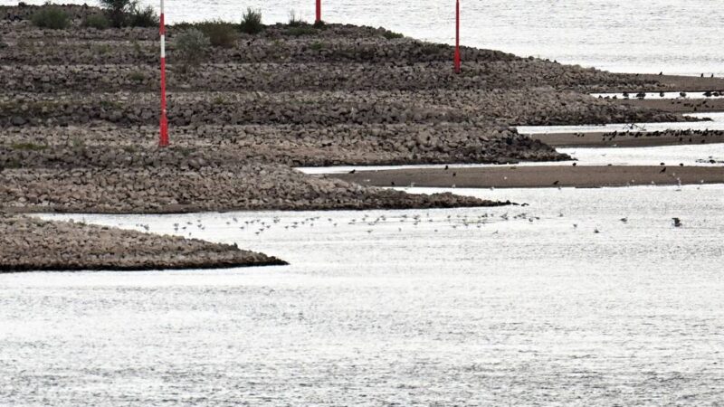 Stahlerzeugung in Duisburg: Thyssenkrupp hält Produktion trotz Niedrigwasser am Laufen
