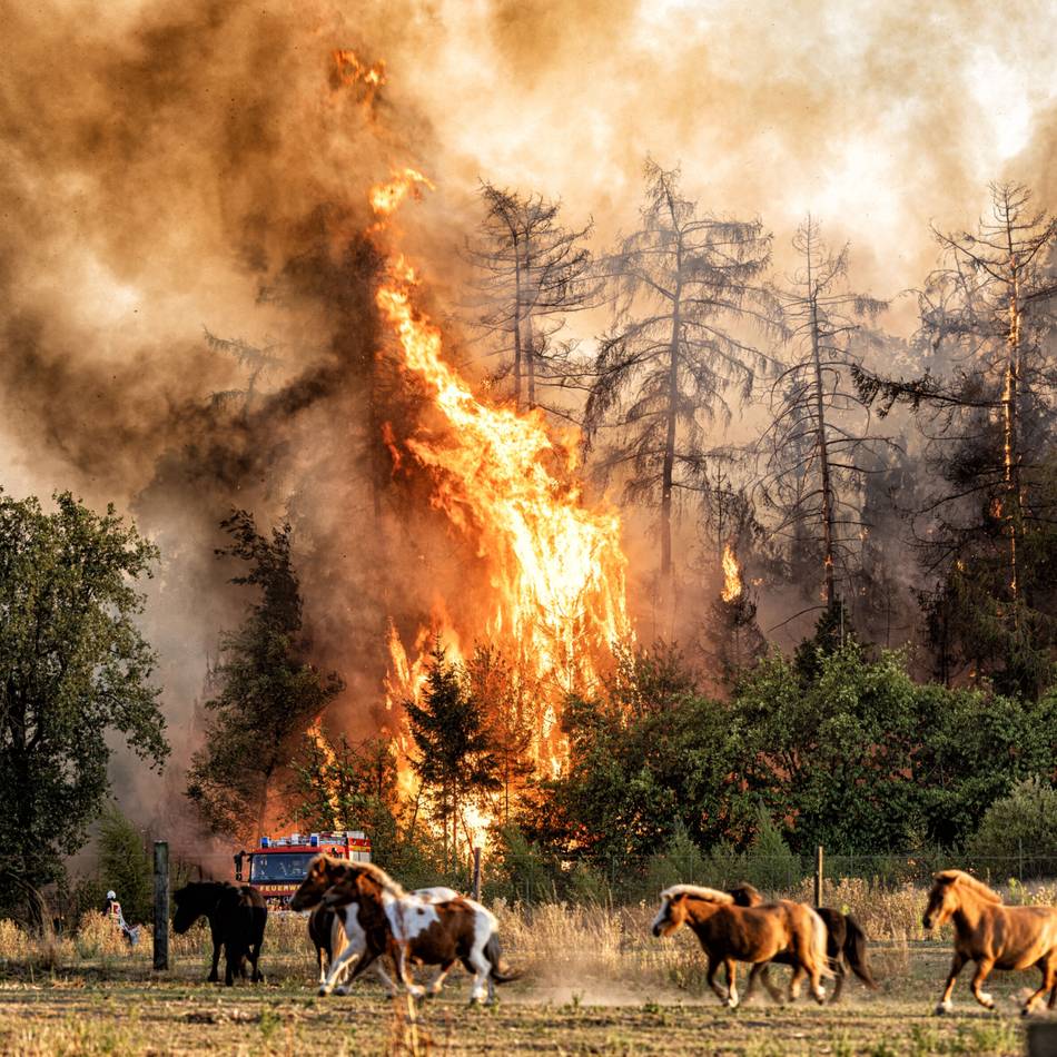 Mehr als 200 Feuerwehrkräfte im Einsatz: Waldbrand in Sonsbeck nach mehr als 24 Stunden gelöscht