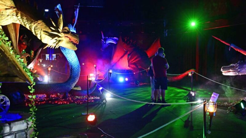 Spektakuläre Schau in Mönchengladbach: Drachen erobern die NEW Box