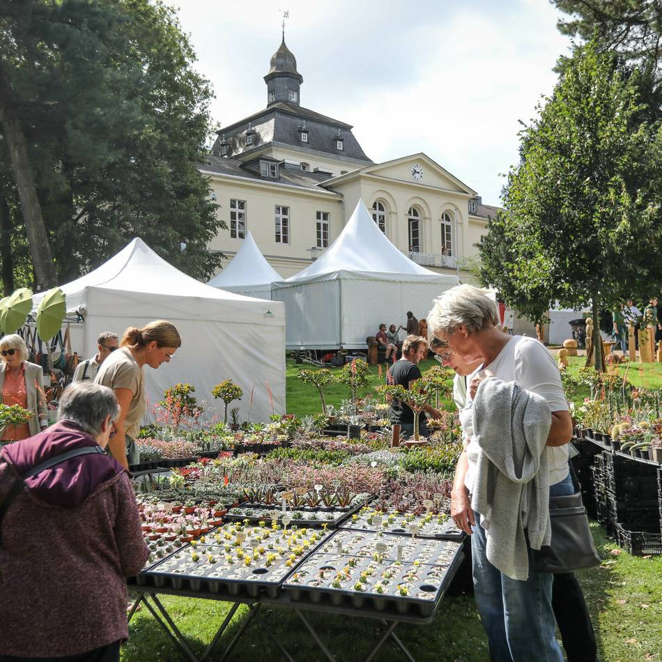 Lifestyle-Markt in Düsseldorf: Herbstfestival in und um das Schloss Eller
