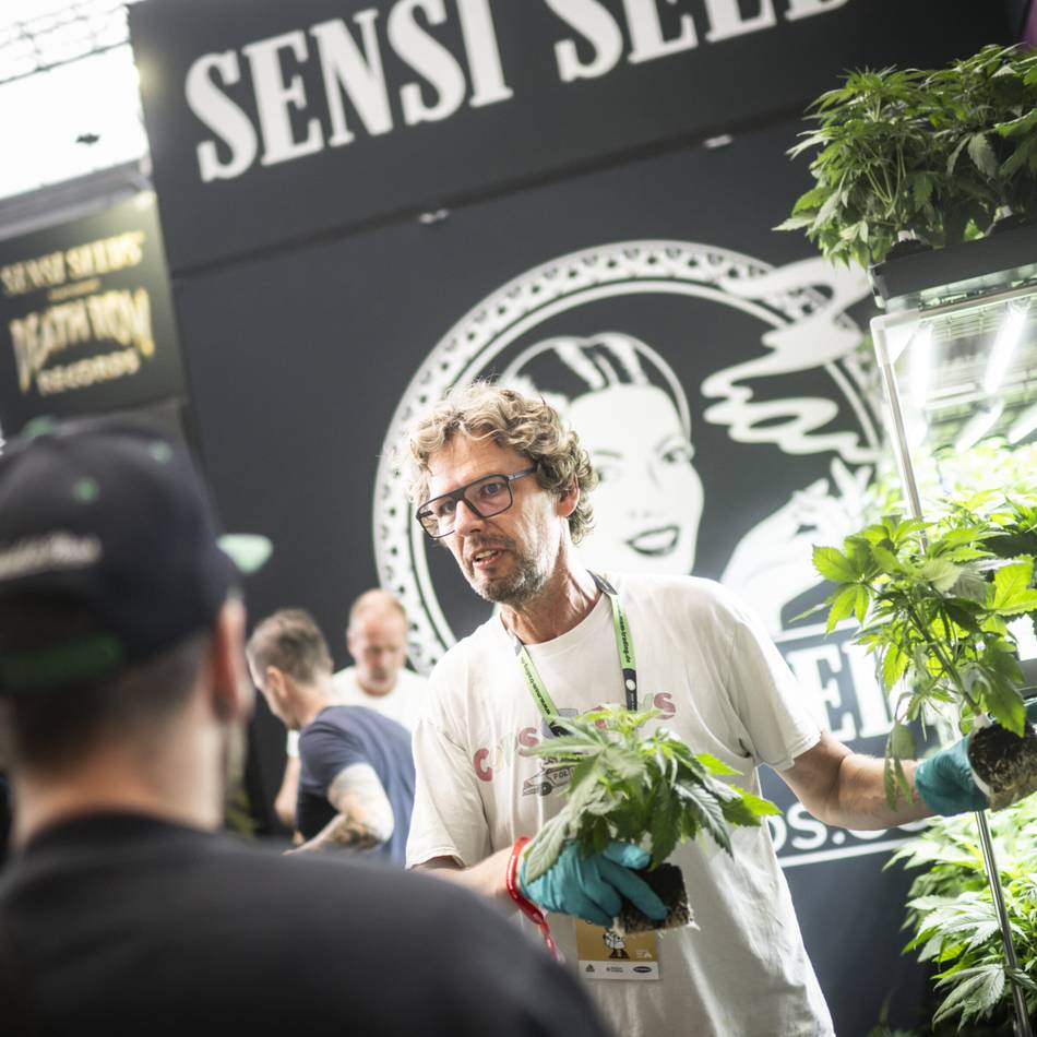 Cannafair in Düsseldorf: Polizei zieht 88 Fahrer rund um Hanfmesse aus dem Verkehr – einen sogar zweimal