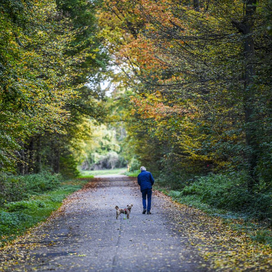 Naturerlebnisse in Düsseldorf: Bei Führungen Äpfel ernten und Natur und Landschaft entdecken