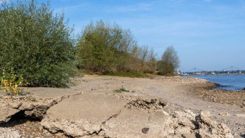 Niedrigwasser im Rhein: Krefelder Ratsgruppe fordert Umdenken bei Logistik