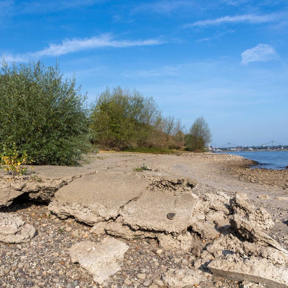 Niedrigwasser im Rhein: Krefelder Ratsgruppe fordert Umdenken bei Logistik