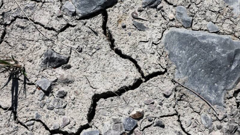 Emscher-Lippe-Region im Juli: „So wenig Regen wie noch nie seit Aufzeichnungsbeginn“