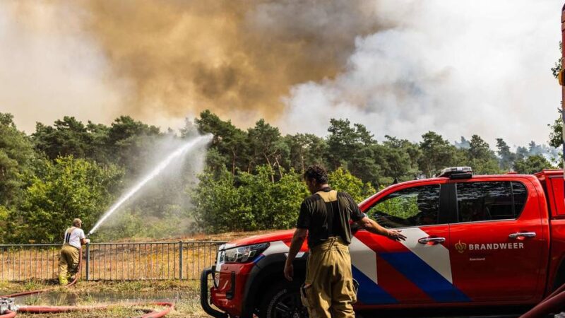 Flammen nahe der Grenze : „Es ist eine Katastrophe“ – so kämpft die Feuerwehr gegen den Waldbrand in den Niederlanden