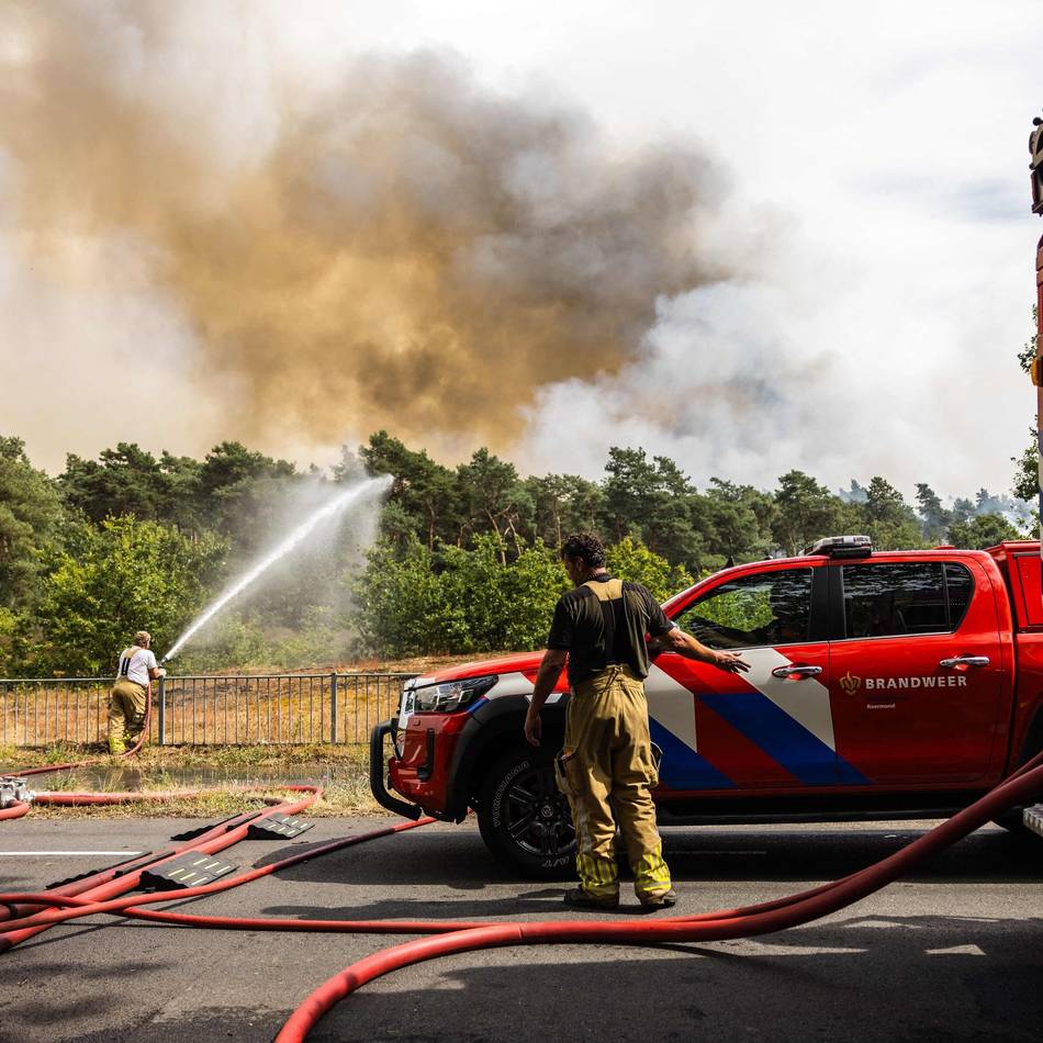 Flammen nahe der Grenze : „Es ist eine Katastrophe“ – so kämpft die Feuerwehr gegen den Waldbrand in den Niederlanden