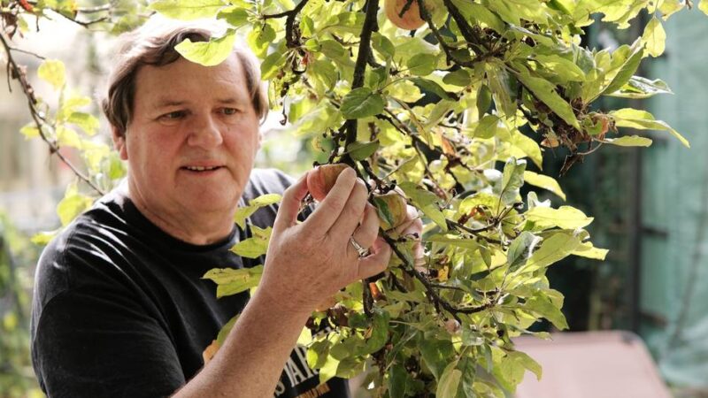 Gartenarbeiten im September: Jetzt kann reichlich geerntet werden