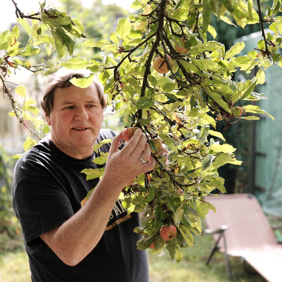 Gartenarbeiten im September: Jetzt kann reichlich geerntet werden