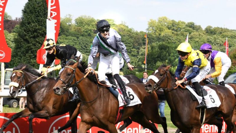 Henkel-Preis der Diana: Soreanga triumphiert in Grafenberg – Diana bleibt in Deutschland