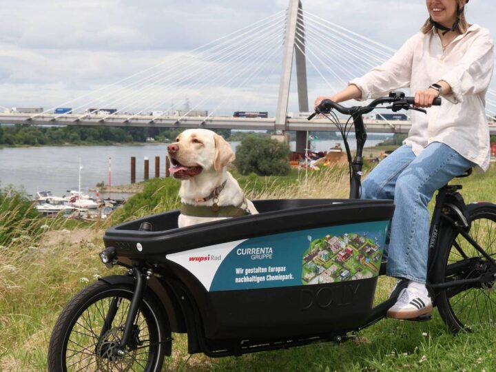 Mobilität in Leverkusen: Lastenräder von wupsiRad kehren zurück