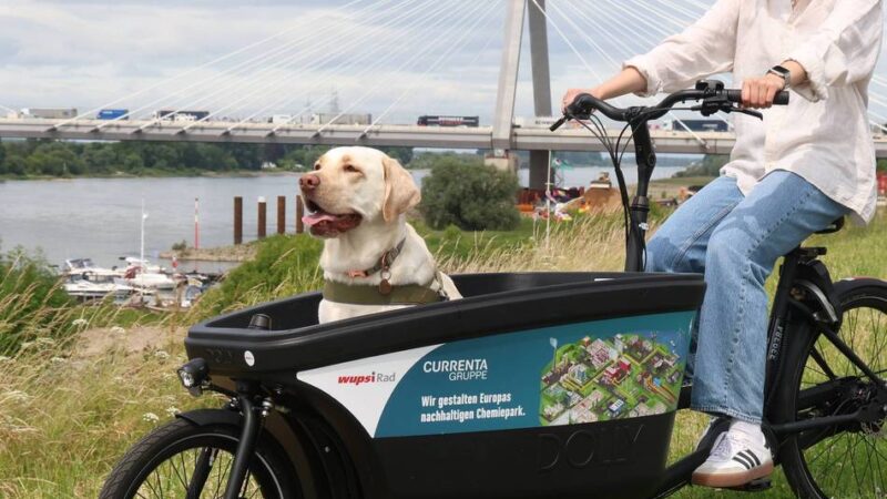 Mobilität in Leverkusen: Lastenräder von wupsiRad kehren zurück