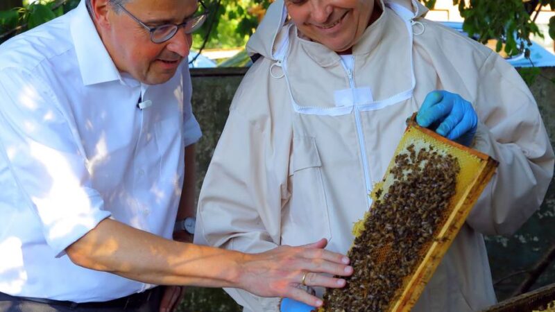 René Schneider on Sommertour: Keine Angst vor lammfrommen Bienen