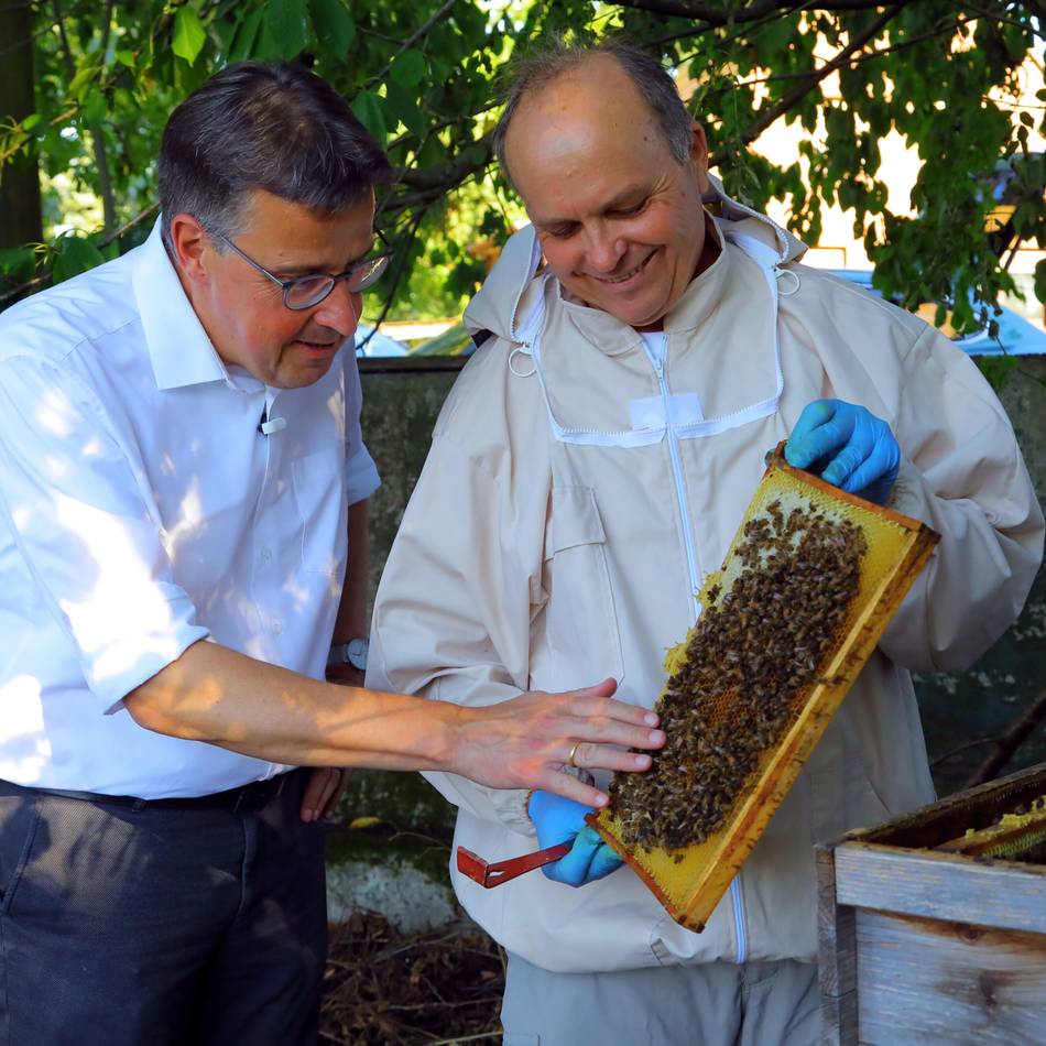René Schneider on Sommertour: Keine Angst vor lammfrommen Bienen