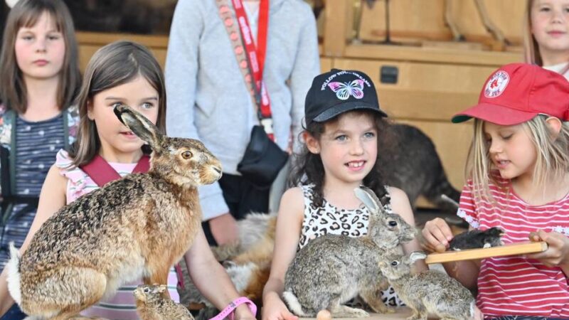 Ferienspaß in Radevormwald: Kinder haben keine Scheu vor wilden Tieren