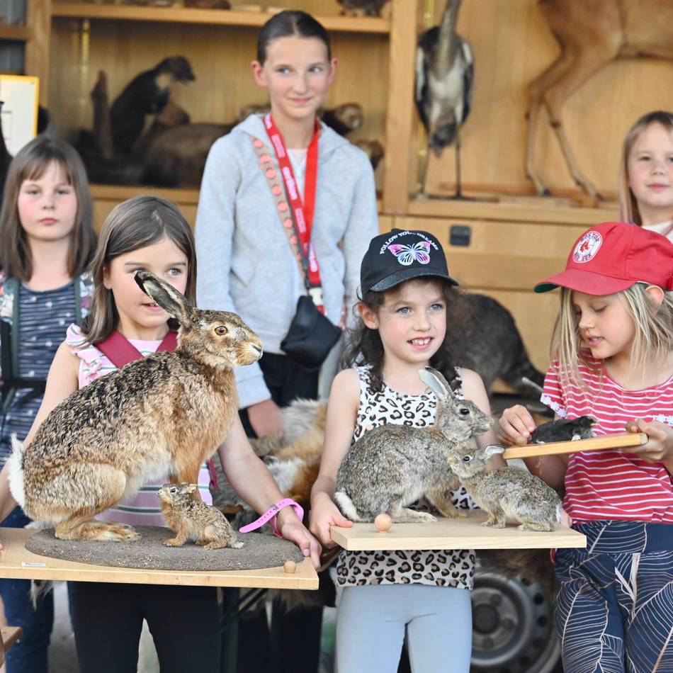 Ferienspaß in Radevormwald: Kinder haben keine Scheu vor wilden Tieren