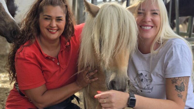 Ponyreiten mit ADHS in Dormagen: Pferde als Therapeuten – „zu spüren, wie die Kinder nach nur Stunden wachsen“
