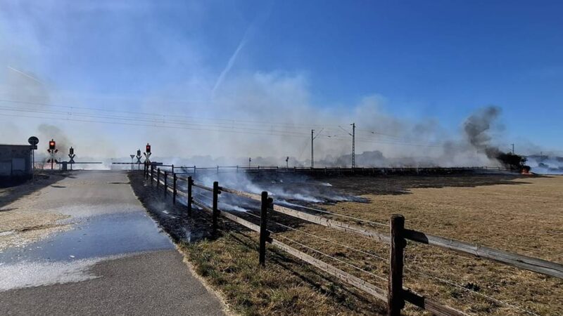 Großbrand zwischen Meerbusch und Krefeld: „Das ging so schnell“ – Feuer bedrohte Pferdehof