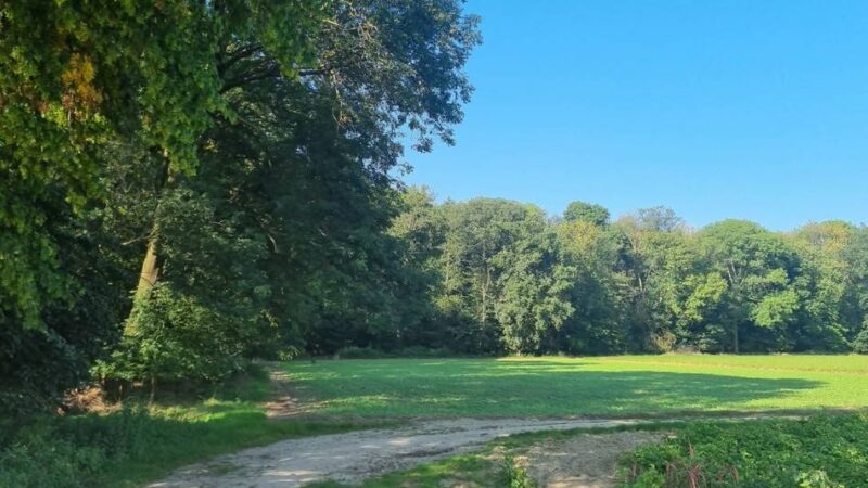 Baugebiete in Erkelenz: So funktioniert der Öko-Ausgleich