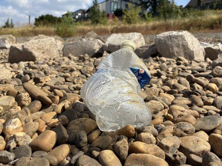 Umwelt-Rallye Dormagen: Kinder räumen Rheinufer in Dormagen auf
