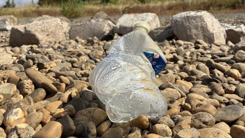Umwelt-Rallye Dormagen: Kinder räumen Rheinufer in Dormagen auf