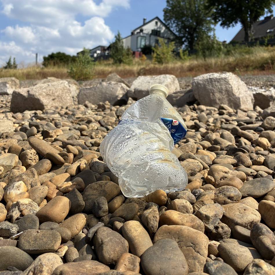 Umwelt-Rallye Dormagen: Kinder räumen Rheinufer in Dormagen auf