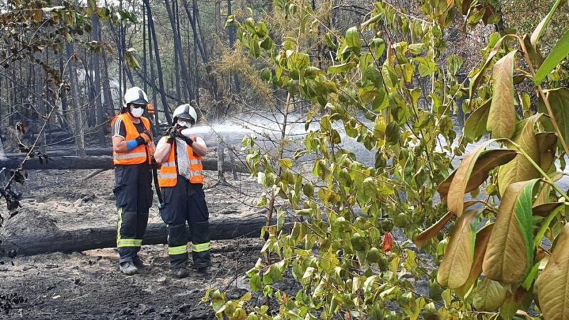 Waldbrand in Sonsbeck – Einsatz dauert an: „Der Boden ist noch immer über 100 Grad heiß“
