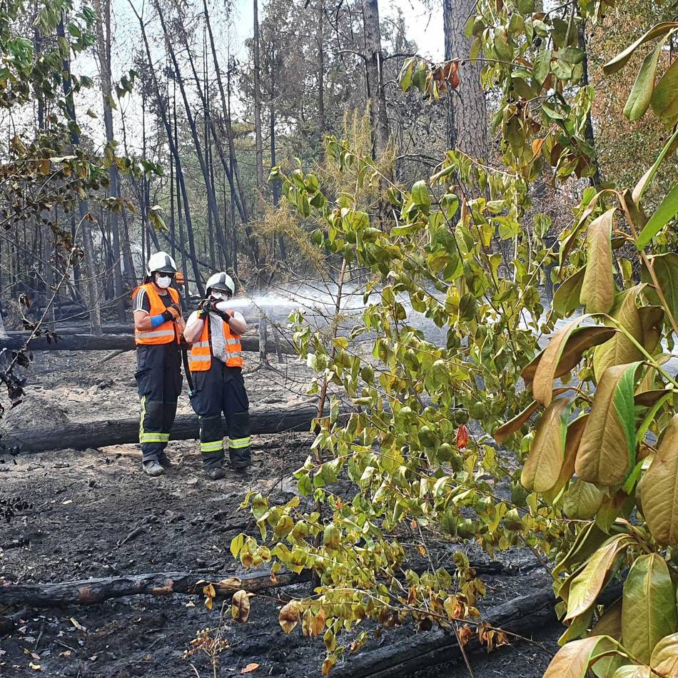 Waldbrand in Sonsbeck – Einsatz dauert an: „Der Boden ist noch immer über 100 Grad heiß“