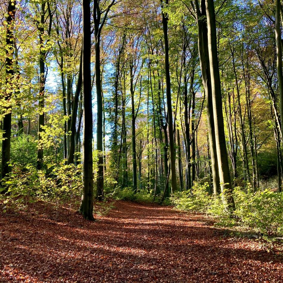 Der Wanderweg wird demnächst 20 Jahre alt: „Rund um Leverkusen“  – unterwegs zu den grünen Seiten der Stadt