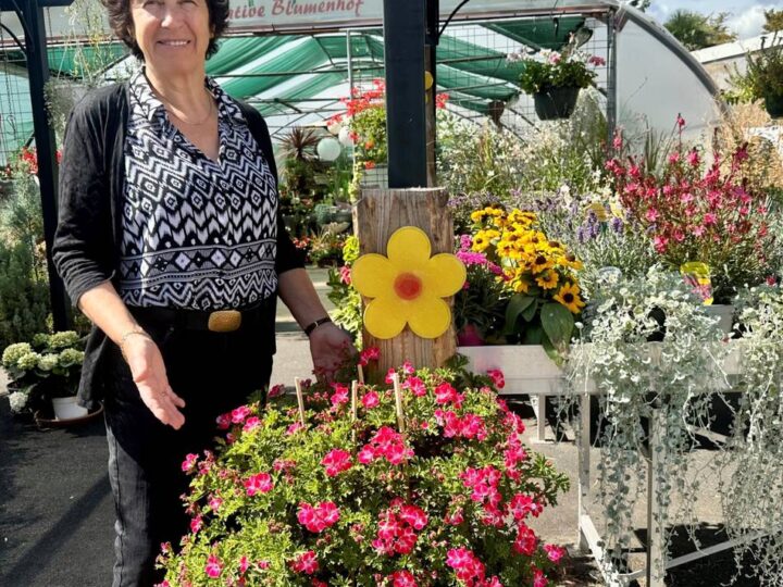 Garten-Tipps aus Meerbusch: Diese Pflanzen trotzen der Hitze
