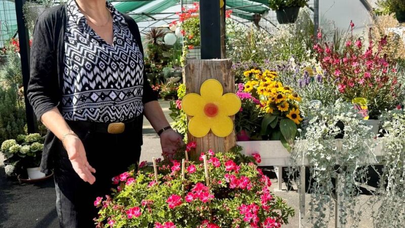 Garten-Tipps aus Meerbusch: Diese Pflanzen trotzen der Hitze