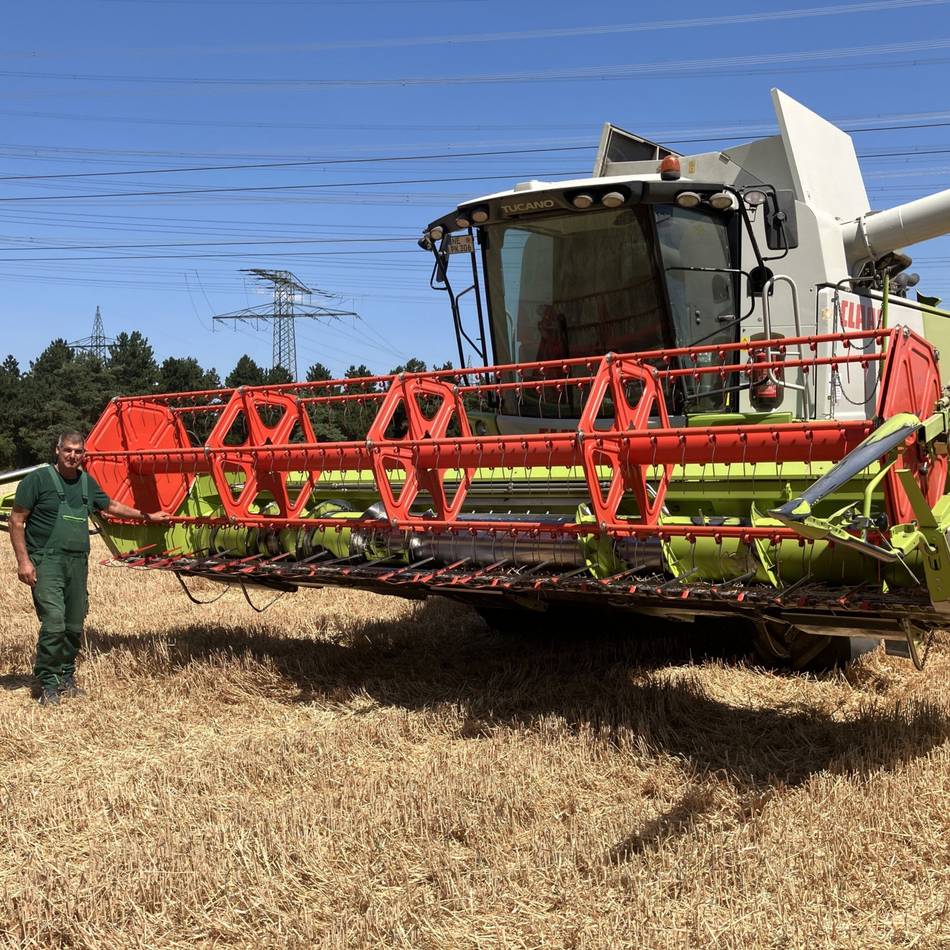 Landwirtschaft in Mönchengladbach: Wie die Hitze der Ernte zusetzt