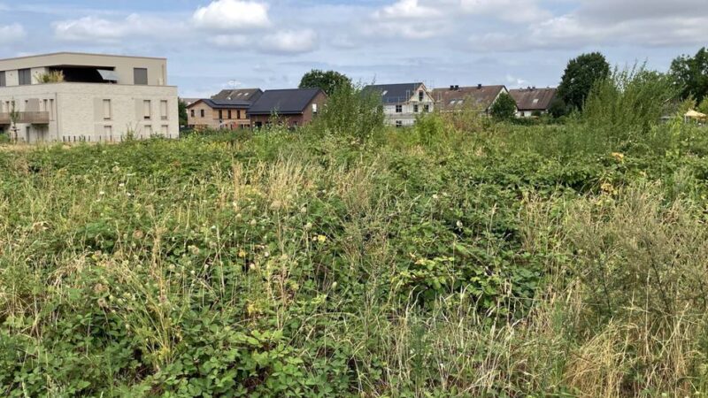 Neubau am Commerhof: Warum Holzbüttgen einen zweiten Nahversorger verträgt