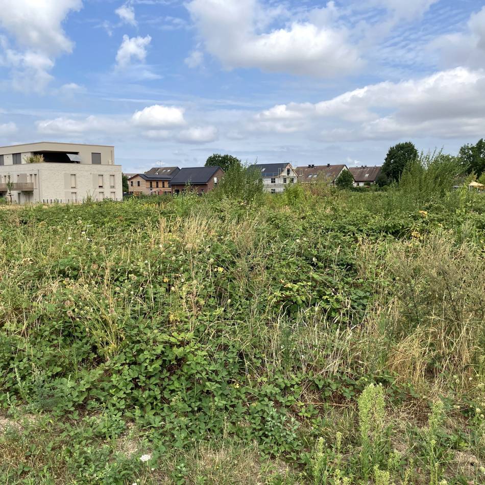 Neubau am Commerhof: Warum Holzbüttgen einen zweiten Nahversorger verträgt