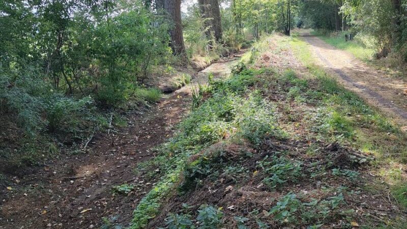 Naturschützer warnen wegen Trockenheit: „Eine der schönsten Ecken Meerbuschs leidet unter Wassermangel“