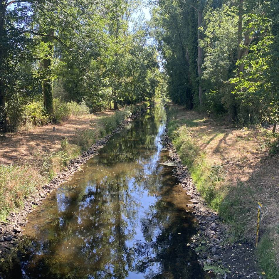 Niedrigwasser der Niers im Kreis Kleve: Pegel fällt auf bis zu 15 Zentimeter – Niers führt extrem wenig Wasser