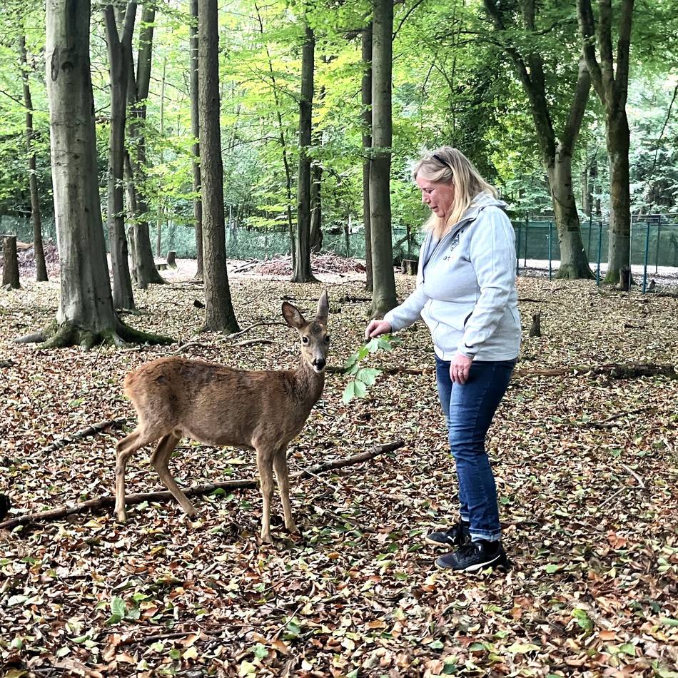 Rehkitzretterin wohnt im Hardter Wald: „Wenn hier etwas passiert, dann war es das, dann brennt alles“