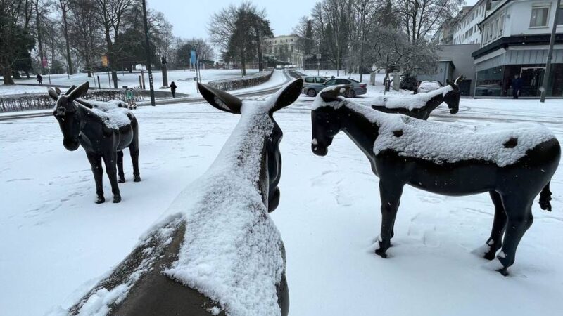 Kolumne Mensch Gladbach: Die Stadt muss cooler werden