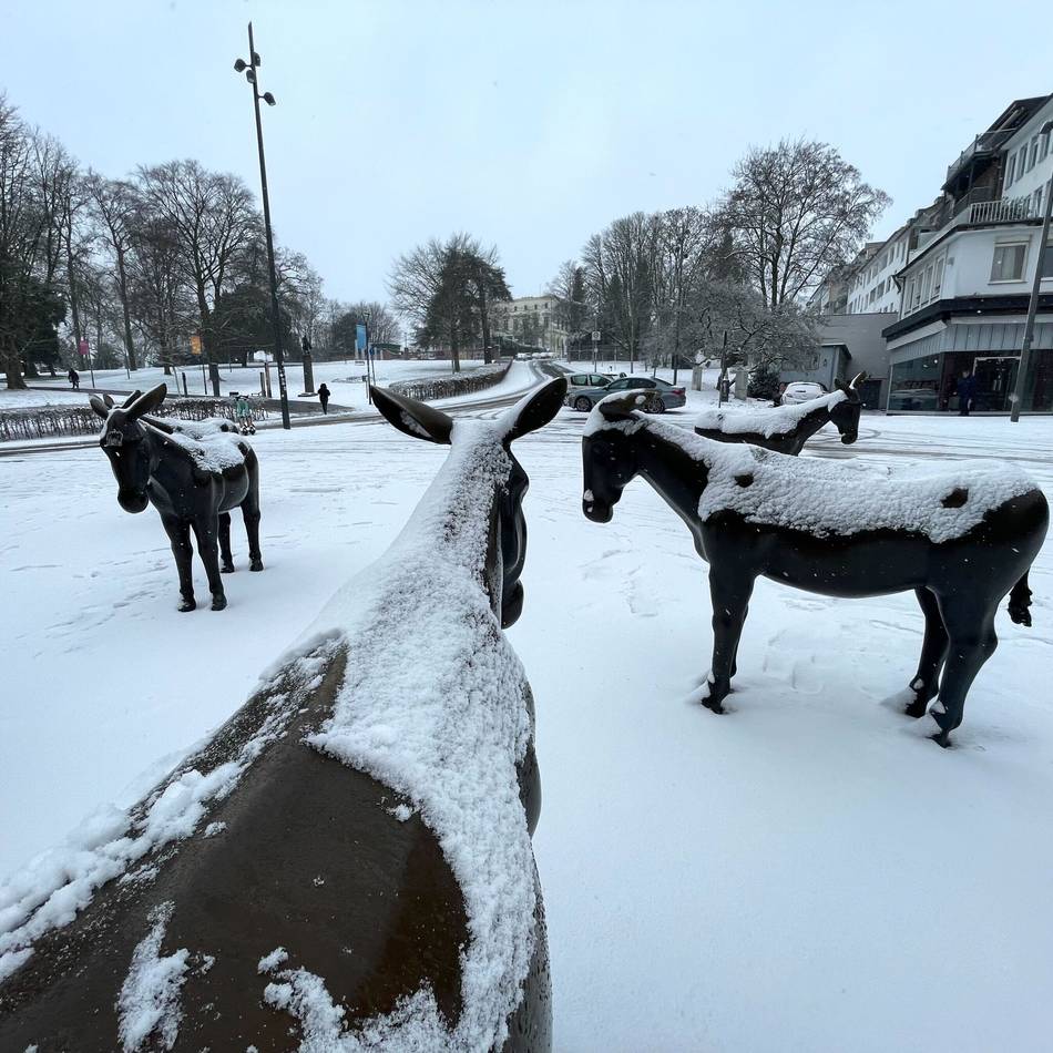 Kolumne Mensch Gladbach: Die Stadt muss cooler werden